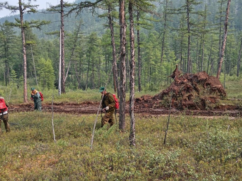 Более 500 лесных пожарных защищают леса Забайкалья от огня